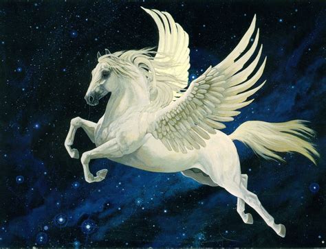 show me a picture of a pegasus